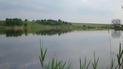 Green Lake - Chiroiu4